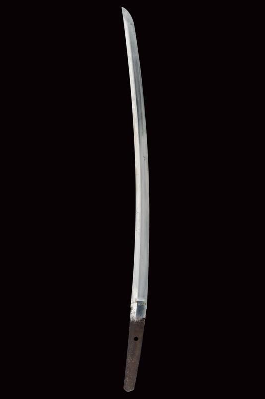 Bel Wakizashi di Tadamitsu
