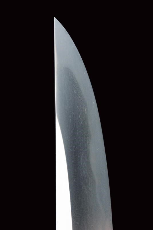 Bel Wakizashi con Shirasaya e Koshirae