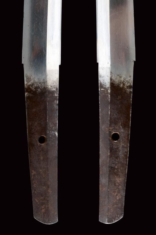 Bel Wakizashi con Importanti Fuchi-kashira