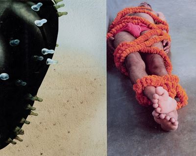 Life: a vital process - c-print montata su alluminio
