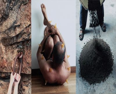Life: a vital process, c-print montata su alluminio