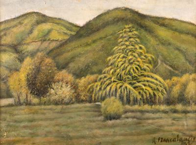 Paesaggio