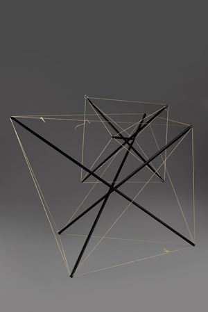 Tensostruttura
Tecnica mista (scultura)
