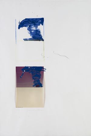 Franco Fontana - Mario Schifano
Foto e t