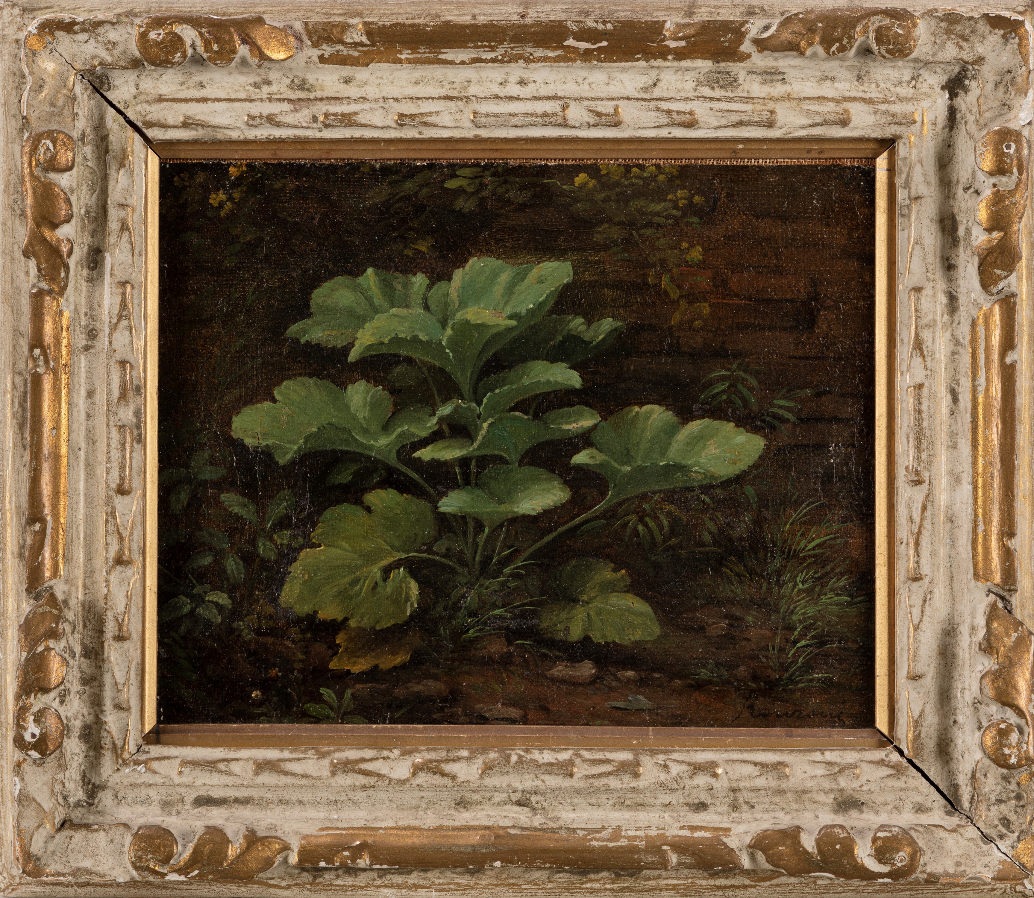 Pietro Ronzoni - Piante spontanee, olio su tela