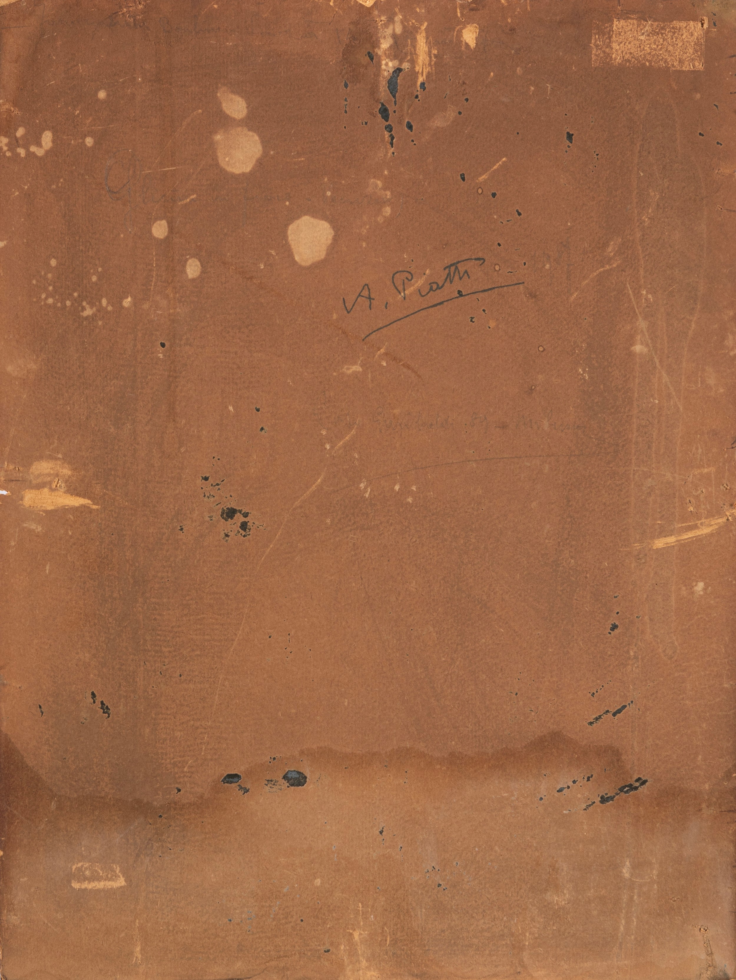 Antonio Piatti - La glicina, olio su cartone