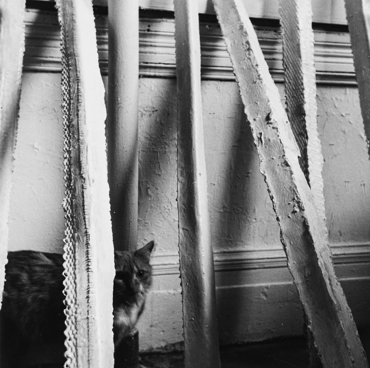 Piero Gilardi, Albertine Ooiman - Wind Tables; I 'corners' di Alice Adams nel suo studio, due sta...