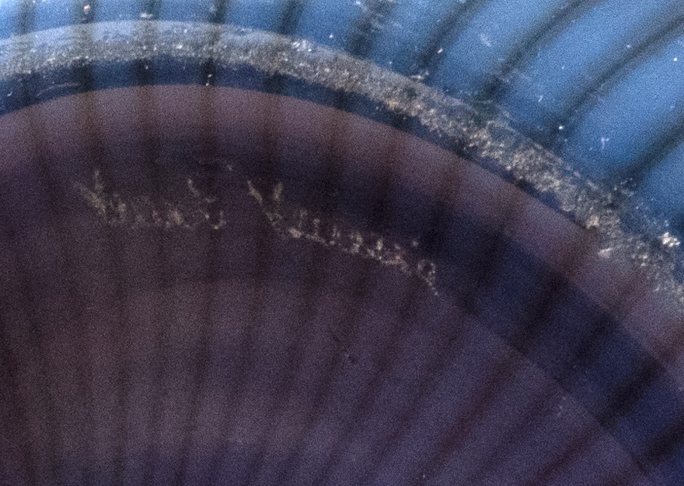Vaso in Vetro di Murano a Canne Blu e Nere, Veart, Anni '80 del Novecento