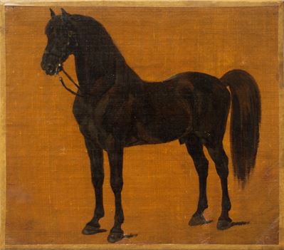 Studio di Cavallo Baio