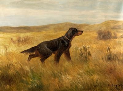 Cane da Ferma