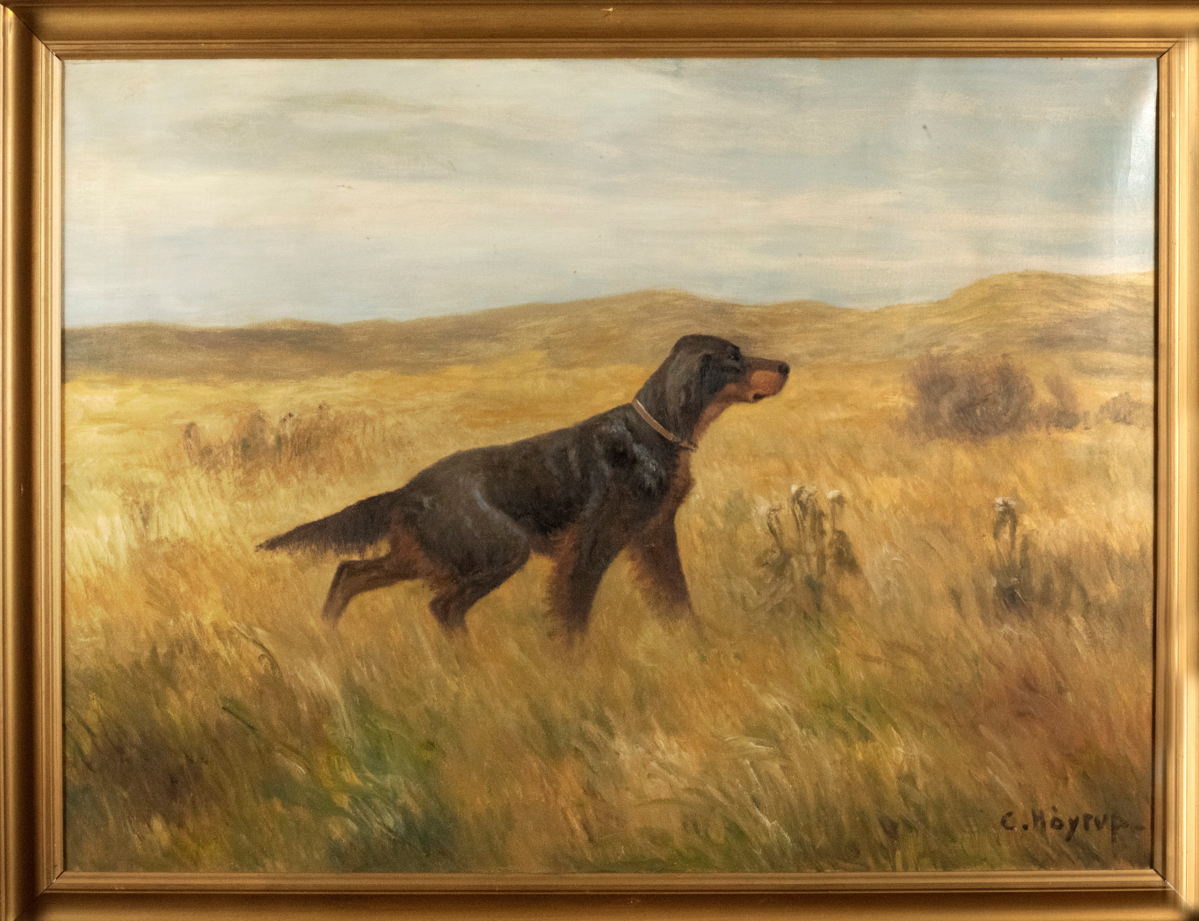 Scuola Nord Europea, Secolo XX - Cane da Ferma