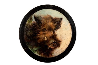 Cinghiale