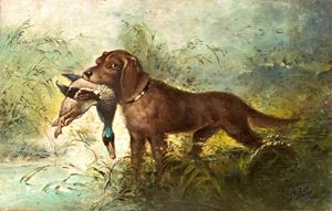 Cane da caccia con fagiano