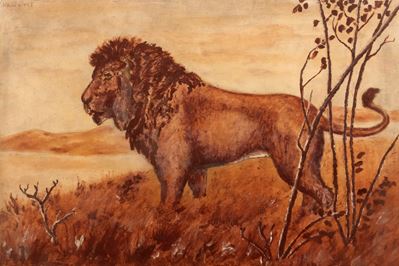 Leone nella Savana