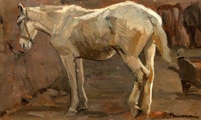 Cavallo bianco, olio su tavola