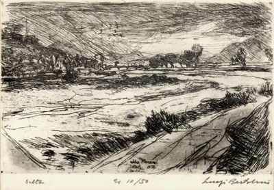 Delta (addio Merano!)