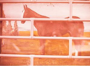 Reggio Emilia, dalla serie "Kodachrome"