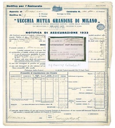 Vecchia Mutua Reale Grandine, Polaroid Ready Made
