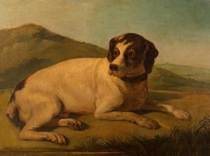 Scuola italiana, secolo XIX - Resting dog