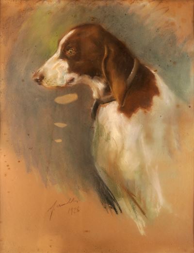 Cane da Caccia