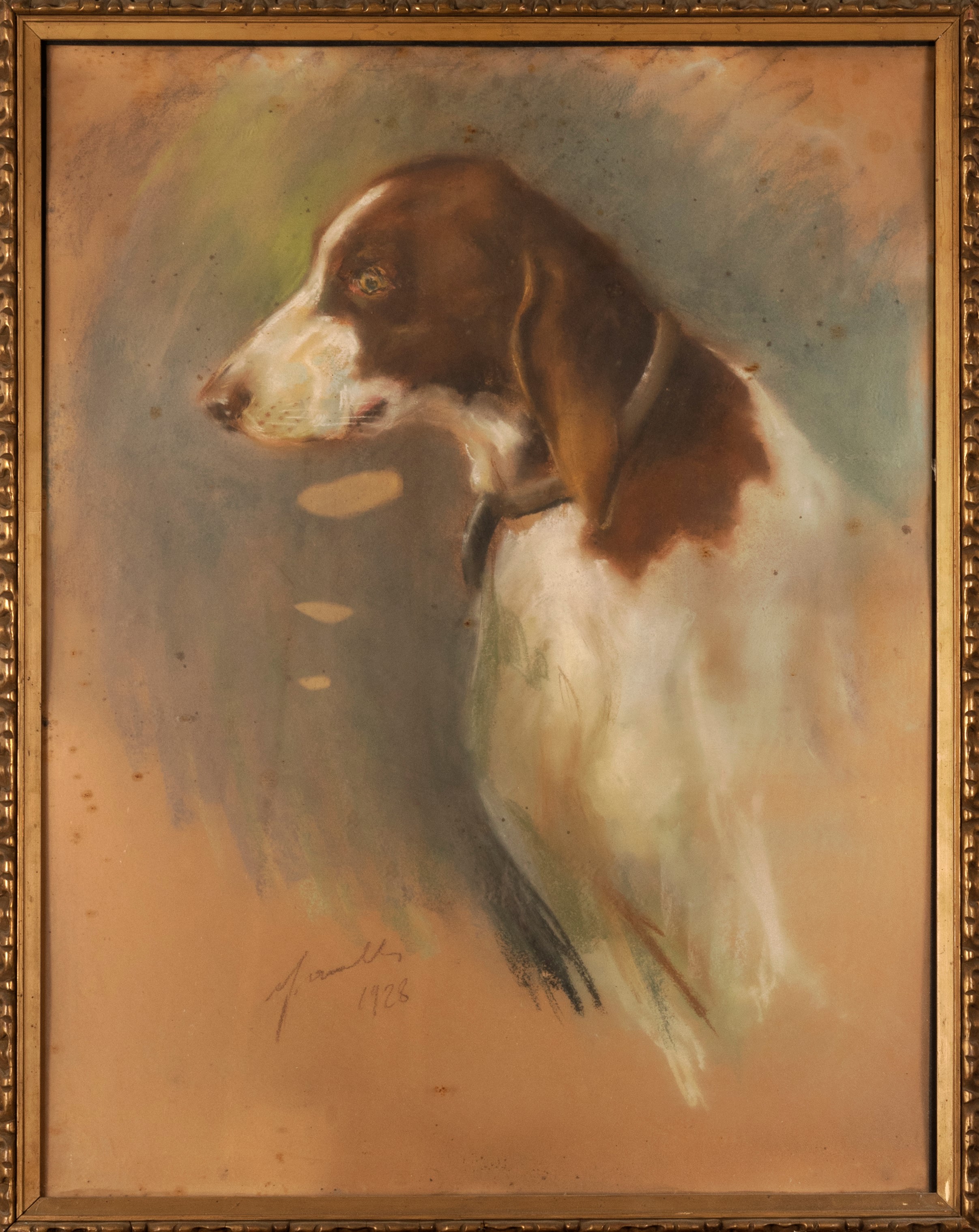 Scuola Italiana, Secolo XX - Cane da Caccia