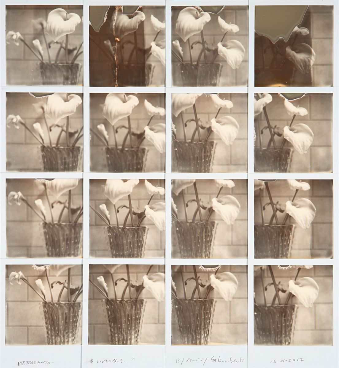 Maurizio Galimberti - Pietrasanta, Studio N.3 e Studio N.5
