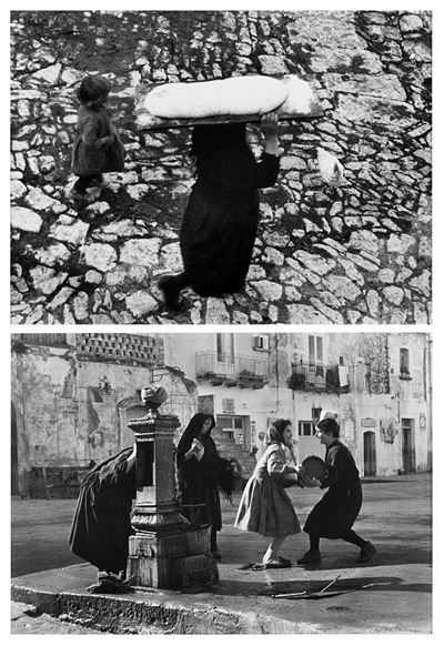Lucania