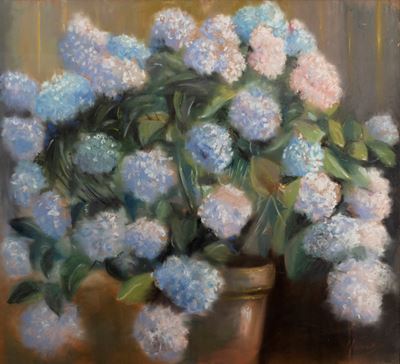 Ortensie