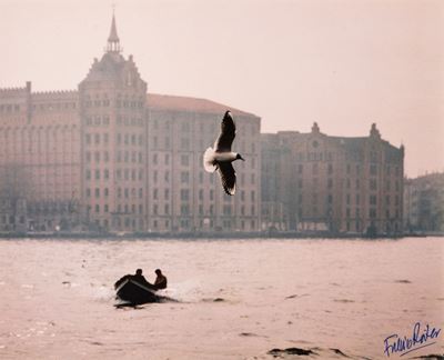 Venezia - C-print vintage su carta Kodak