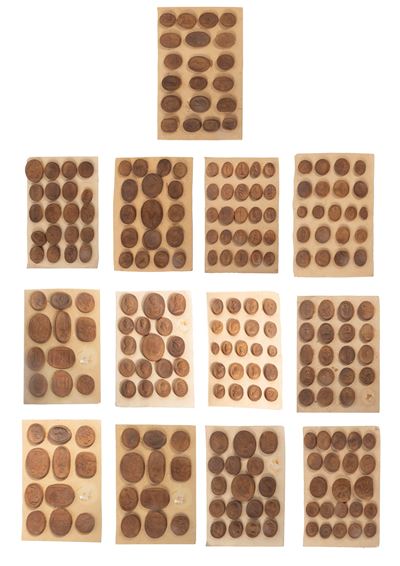 Lotto Composto da 193 Calchi in Gesso da Antichi Cammei