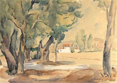 Via Aurelia a Querceta
