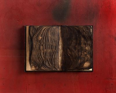 Livre Brulè