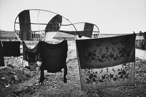 Jodice Mimmo - Gibellina