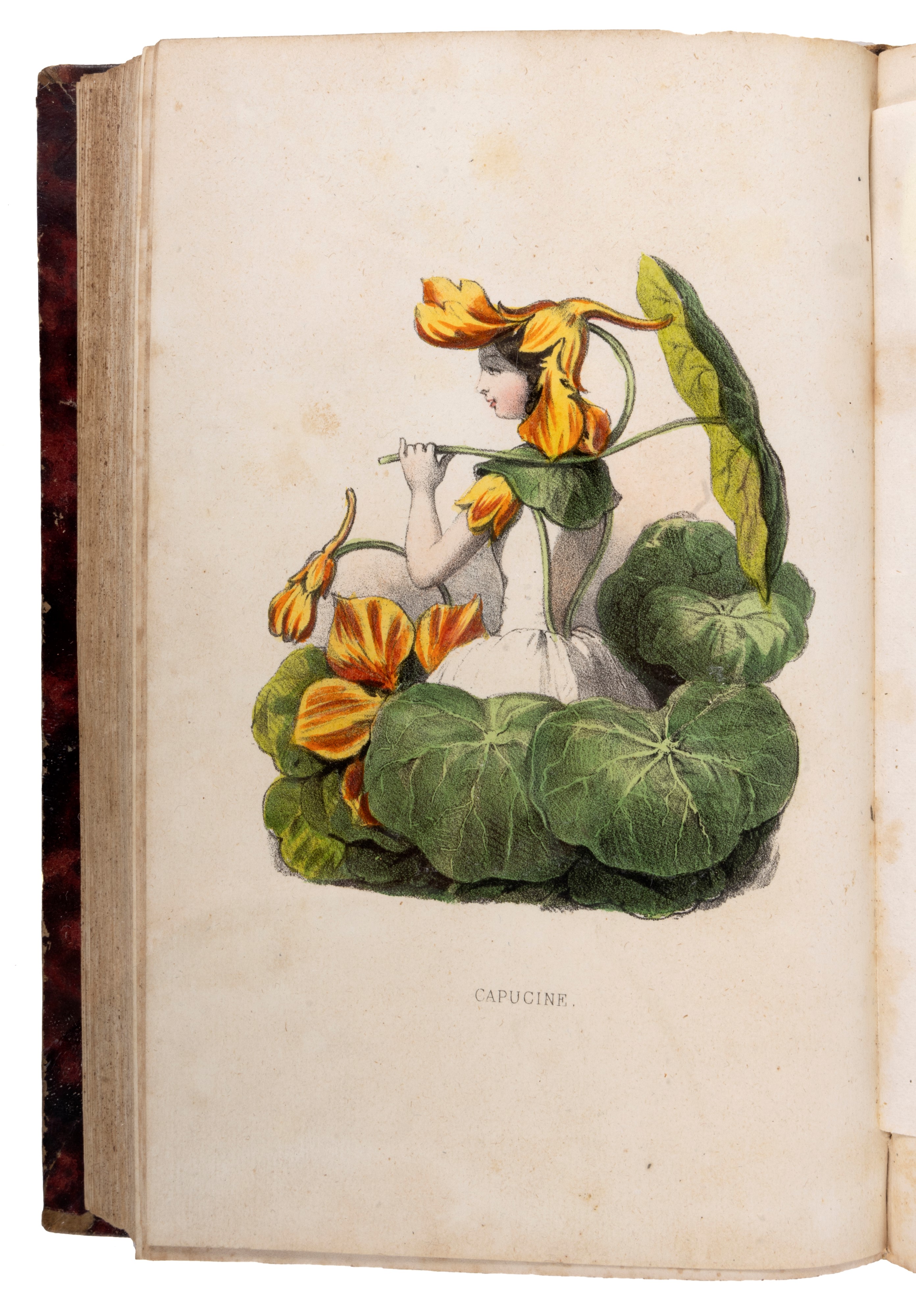 Louise Leneveux - Un siècle de modes feminines 1794-1894