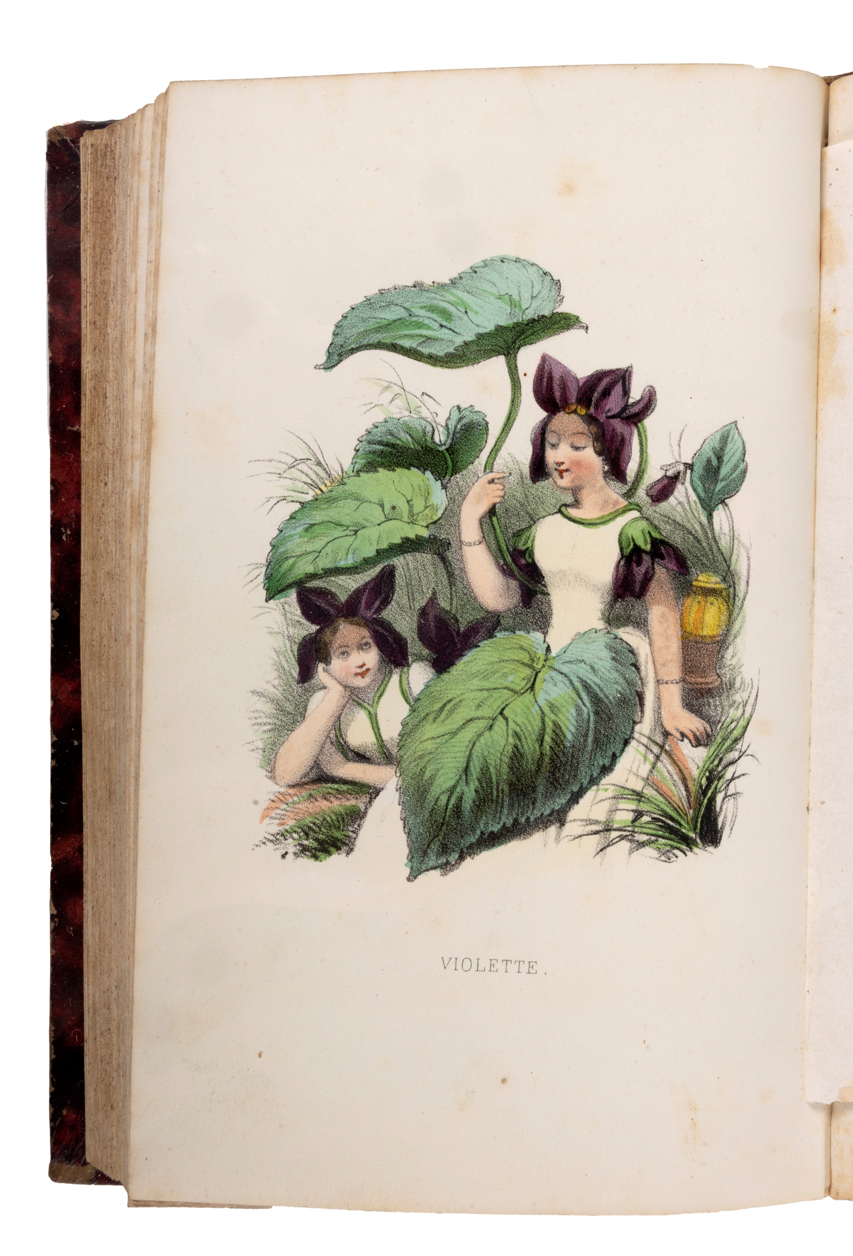Louise Leneveux - Un siècle de modes feminines 1794-1894