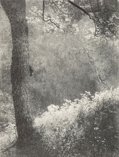 Primavera sul monte (Gressoney), Stampa vintage al bromolio