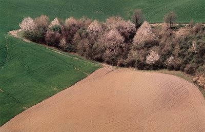 Landscape, stampa dye-transfer