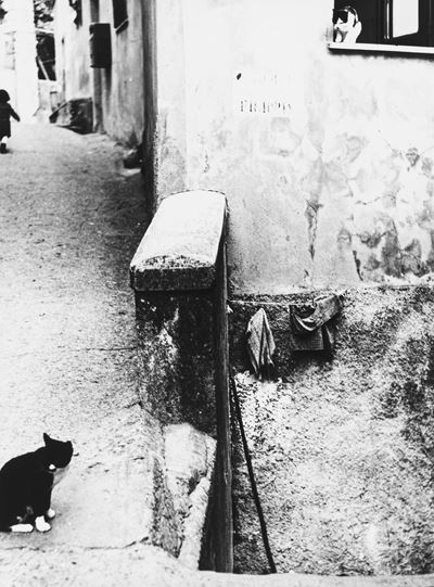 Il canto dei nuovi emigranti, Stampa vintage alla gelatina ai sali d'argento, 1983/1984