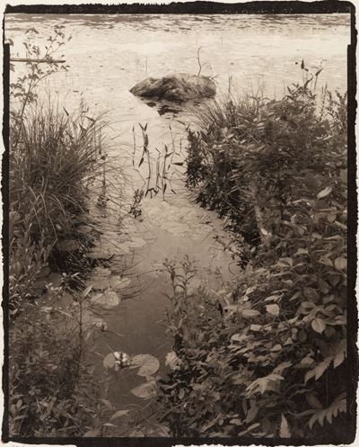 Loom Meadow - Stampa al platino su carta di riso