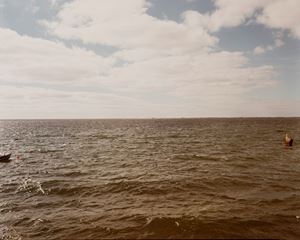 Meyerowitz Joel - Dalla serie 