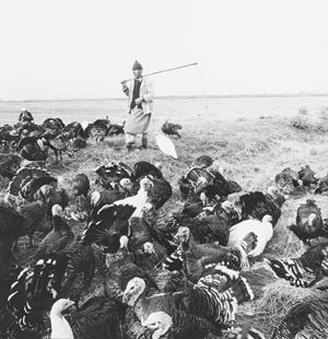 The world's oldest profession dalla serie "Meetings with Bulgaria"