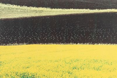 Paesaggio - Stampa digitale a colori