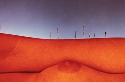 Senza titolo (Nudo), Stampa cromogenica vintage, 1978