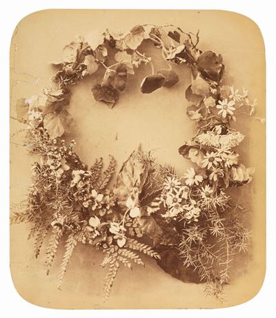 Senza titolo (Fiori), Stampa all'albumina su cartoncino originale