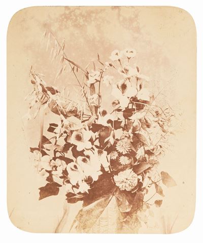 Fiori - Stampa all'albumina applicata a cartoncino originale