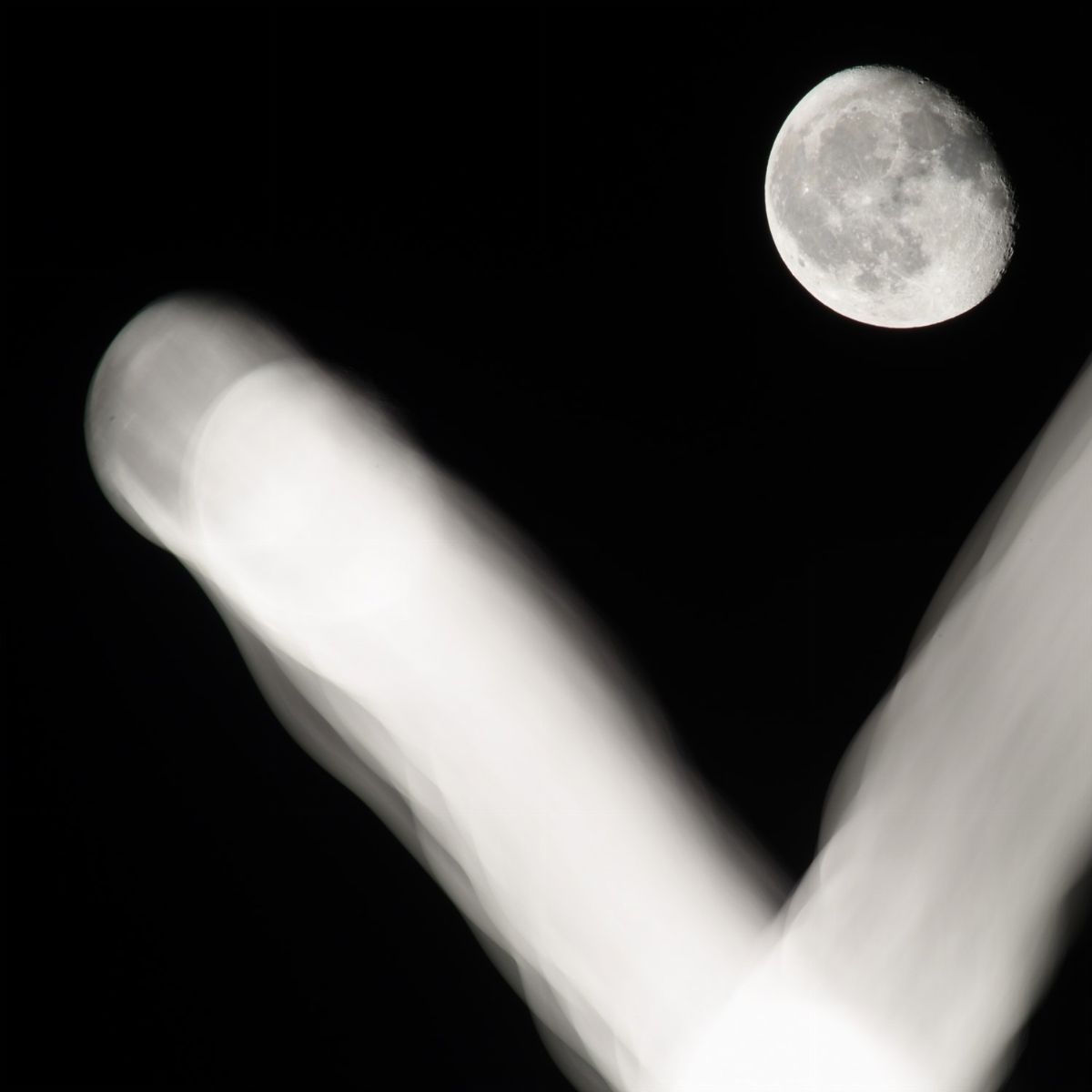 Edoardo Romagnoli - Luna_9611 - Luna_9272