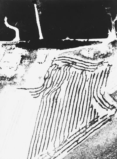 Presa di coscienza sulla natura, stampa vintage alla gelatina ai sali d'argento