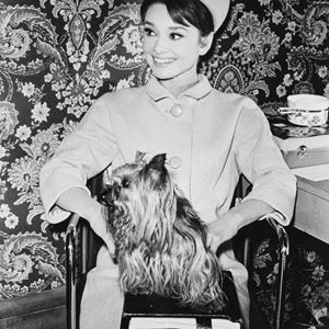 Audrey Hepburn
