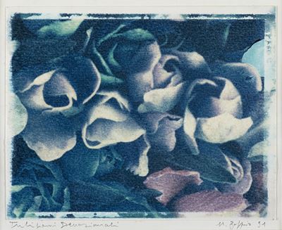 Tulipani devozionali, Polaroid applicata a cartoncino