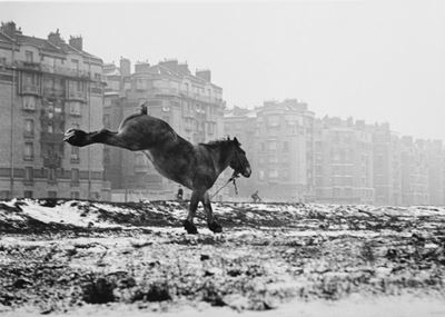 Cheval - Stampa successiva alla gelatina ai sali d'argento, 1952